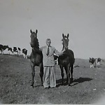 Paarden uit het land halen (Privécollectie mevrouw Colenbrander-Schieven). 
