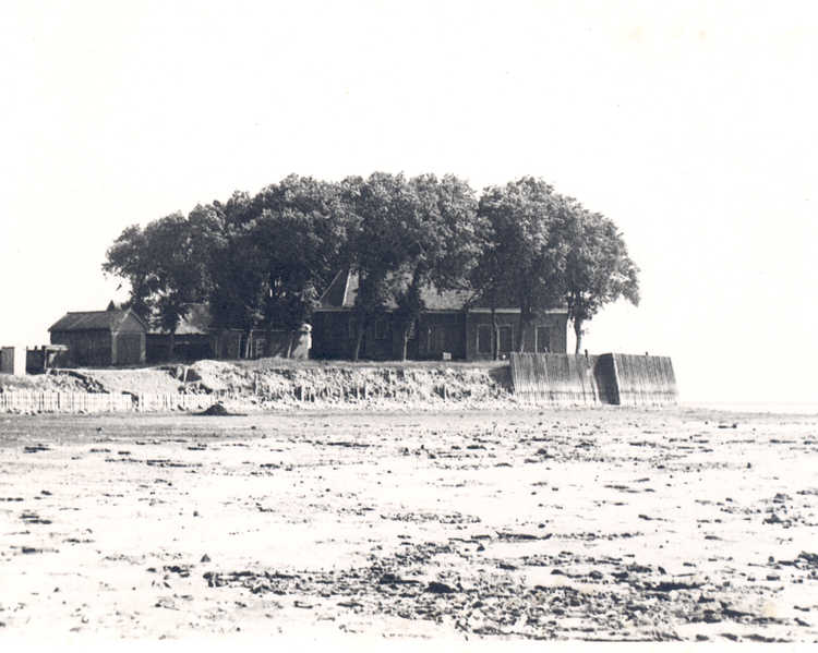 Schokland: vanaf de drooggevallen grond een opname van de Middelbuurt met kerkje en bomen, 1942