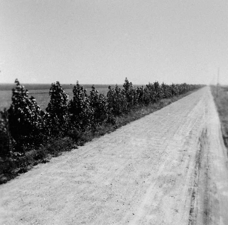 De Zwartemeerweg in 1946.