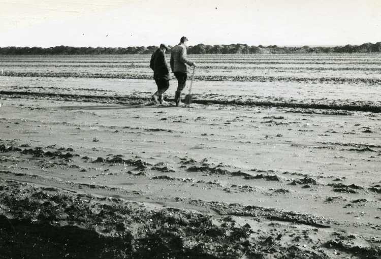 Noordoostpolder: een nog lege polder, 1943