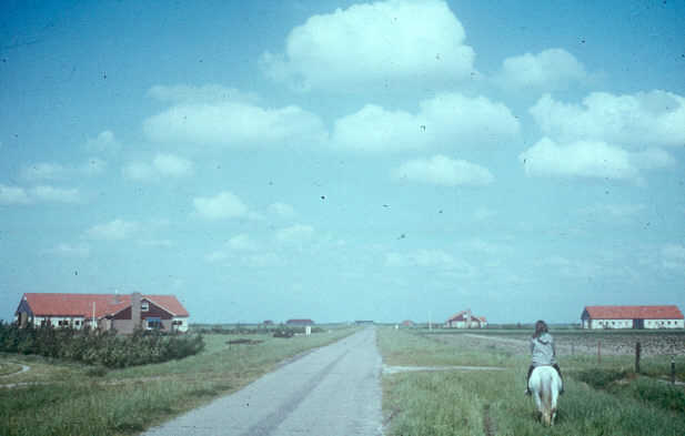 Boerderijen aan de Elandweg tussen Dronten en Swifterbant, 1967 