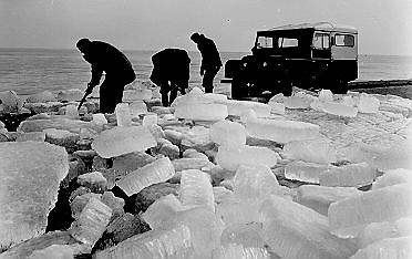 De weg Lelystad-Harderwijk, gelegen op de kruin van de Knardijk, was op 2 maart 1956 geblokkeerd door kruiend ijs, 1956