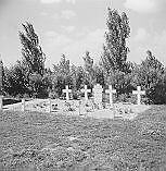 Geallieerd oorlogsgraf op de begraafplaats, 1949
