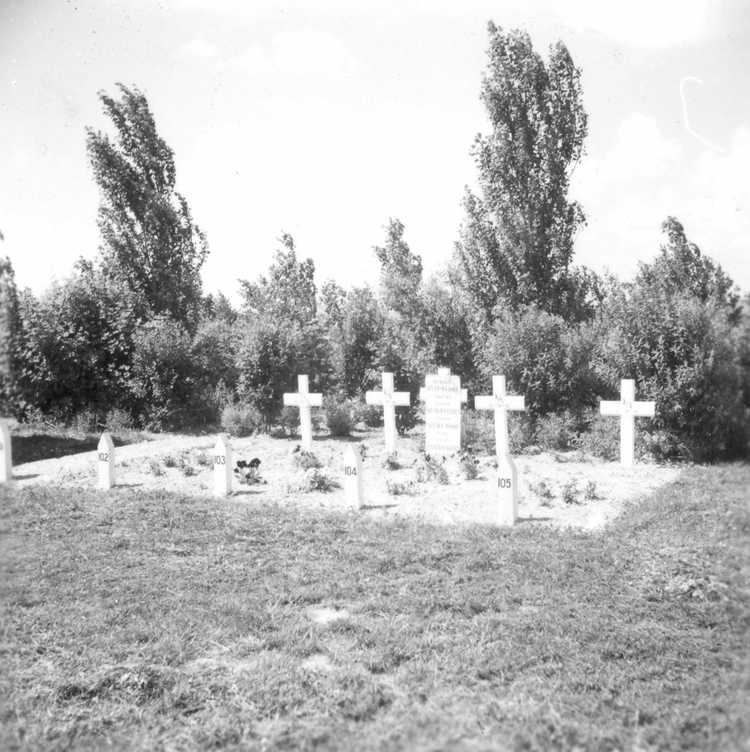 Oorlogsgraven van geallieerde vliegers op de begraafplaats te Emmeloord, 1949