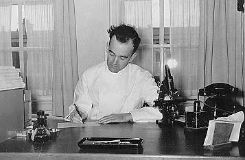 Dokter Bekius, 1955