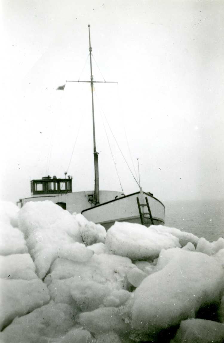 Inspectie hoe ver het kruiende ijs op de dijk ligt, maart 1954