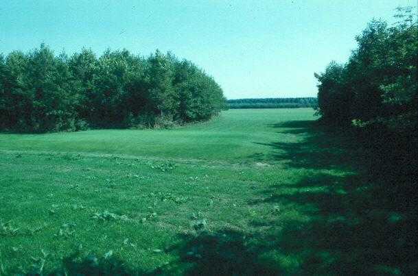Bos rond de huidige golfbaan van Zeewolde, 1986