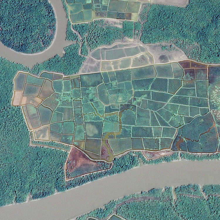 Onregelmatige vormen van de Bolanha rijstpolder (bron Google Earth)