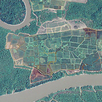 Onregelmatige vormen van de Bolanha rijstpolder (bron Google Earth)