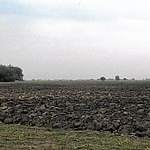Landschap in de Pardina polder