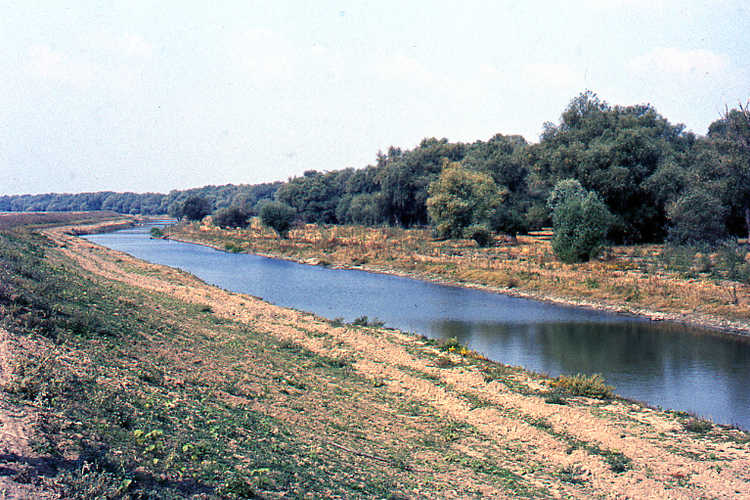Foto 5 Polderdijk langs de Donau met kanaal en begroeiing aan de rivierkant van de polder