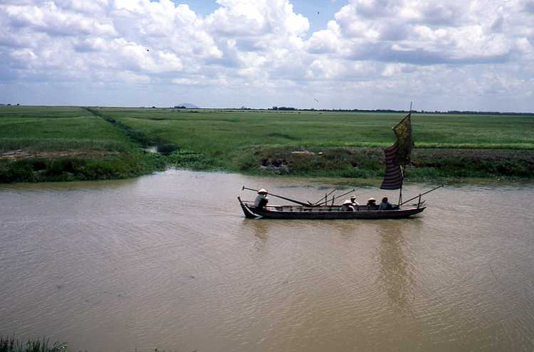  Landschap met rijstvelden in de Mekong Delta