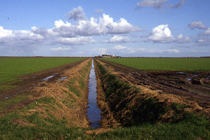 Kavelsloot in het landbouwgebied van Flevoland