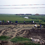 Afgraven van klei in een rijstpolder bij de Yangtze rivier