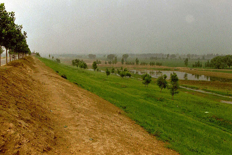 Polderlandschap achter een dijk langs de Gele rivier