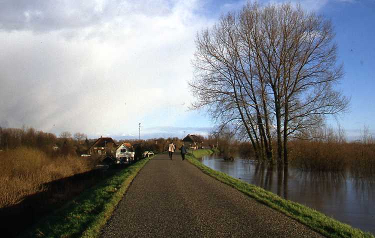Beeld van een polder in het rivierengebied tijdens hoogwater in de Rijn in 1995