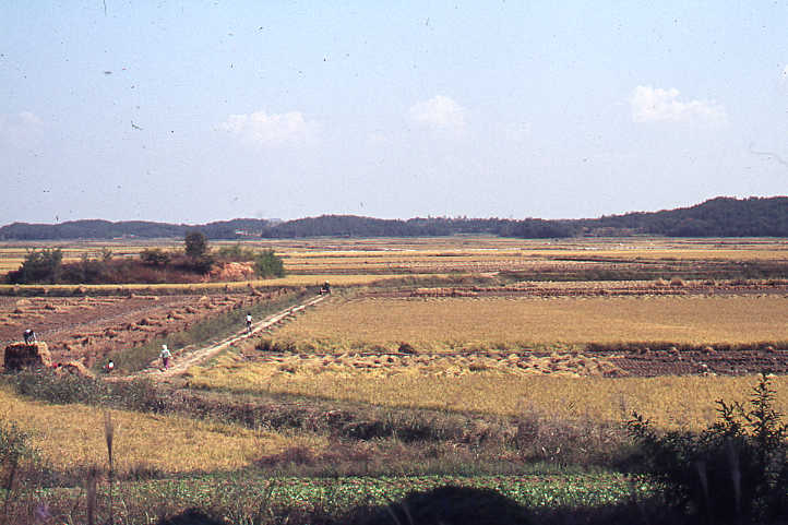 Landschap in polder aan de westkust