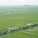 Luchtfoto van rijstvelden in de Mekong delta